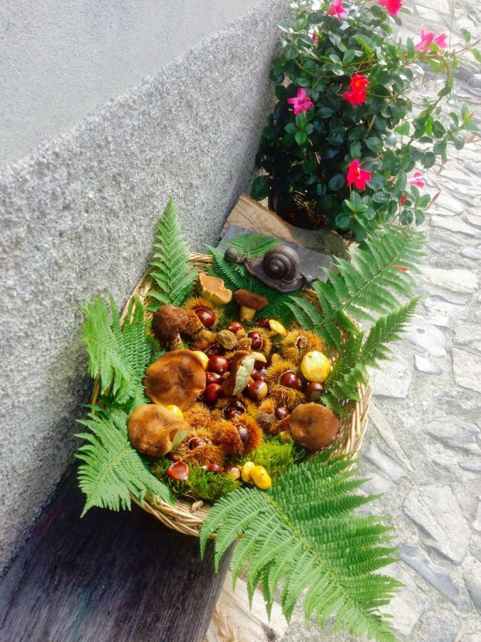 Holiday Home Liliana Faggeto Lario Exterior foto